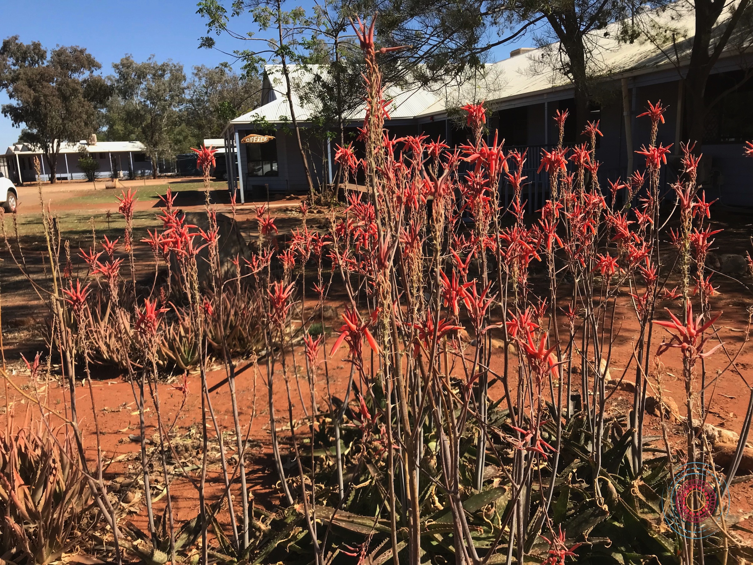 Evaluation of the Civil Law Service for Aboriginal Communities